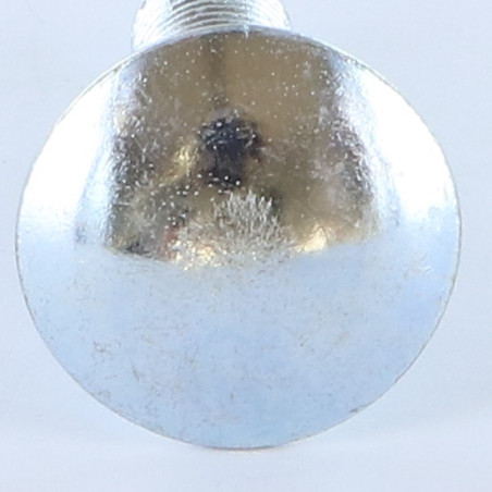Parafuso cabeça redonda gola quadrada M10X20 rosca total Aço zinco branco