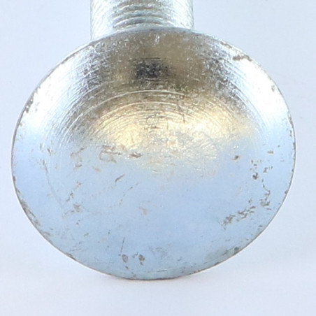 Parafuso cabeça redonda gola quadrada M12X200 rosca total Aço zinco branco