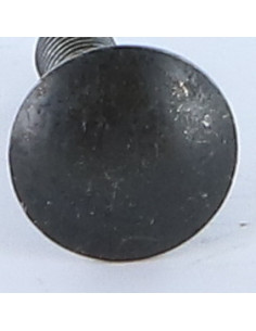 Parafuso cabeça redonda gola quadrada M5X20 rosca total Aço zinco preto 2
