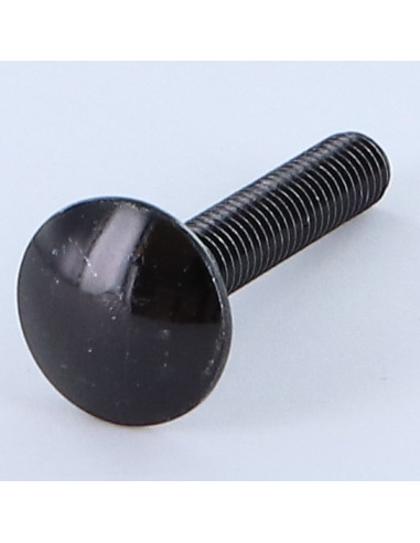 Parafuso cabeça redonda gola quadrada M5X20 rosca total Aço zinco preto