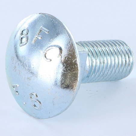 Parafuso cabeça redonda gola quadrada M16X50 rosca total Aço zinco branco