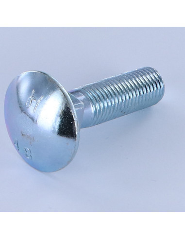 Parafuso cabeça redonda gola quadrada M16X50 rosca total Aço zinco branco