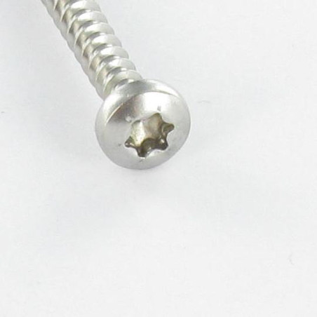 Parafuso de madeira aglomerado cabeça redonda 5X20 TORX T25 Aço zinco branco