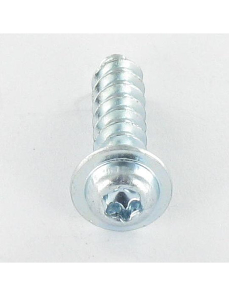 Parfuso de pvc cabeça cilíndrica TORX T10 3X6 Aço zinco branco microparafusos
