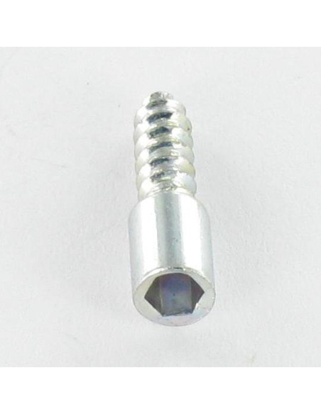 Parafuso de chapa Parafuso cabeça oca sextavada chave de 3 3,5 x 10,5 Aço zinco branco