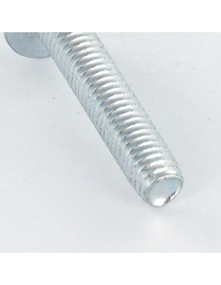 Parafuso autorroscante cabeça hexagonal flange com gola liso M8X25 Aço zinco branco