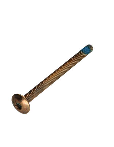 PARAFUSO cabeça de cogumelo M6X80 chave de 4 Aço latonado Freio roscado