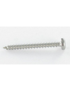 Parafuso de madeira aglomerado cabeça redonda 5X60 TORX T25 Aço zinco branco 2