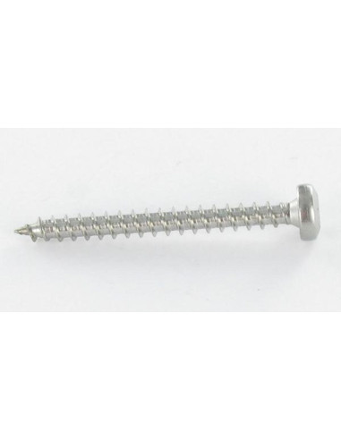 Parafuso de madeira aglomerado cabeça redonda 4X20 TORX T20 Aço zinco branco