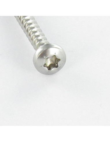 Parafuso de madeira aglomerado cabeça redonda 4X20 TORX T20 Aço zinco branco