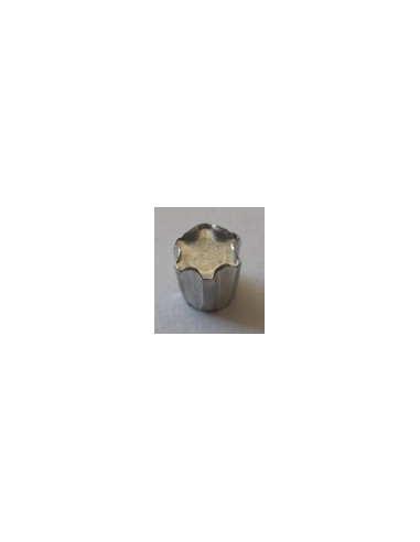ELEMENTO ANTI-INTRUSÃO TORX T40 Aço zinco branco