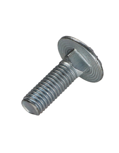 Parafuso cabeça redonda gola quadrada M10X30 rosca parcial Classe 8.8 Aço zinco branco