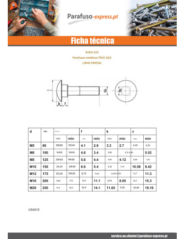 Parafuso cabeça redonda gola quadrada M14X100 rosca parcial Aço zinco branco