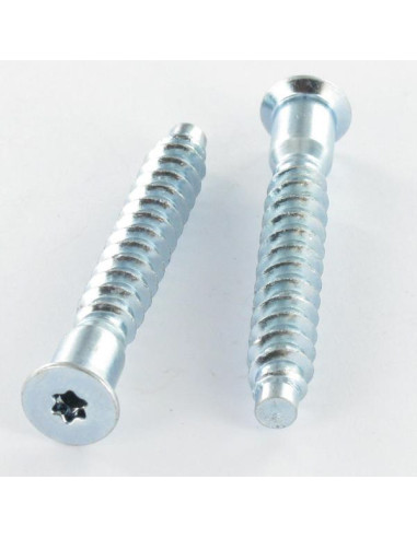 Parafuso autorroscante confirmat cabeça fresada TORX 7X50 SS dentado Aço zinco branco TORX T20