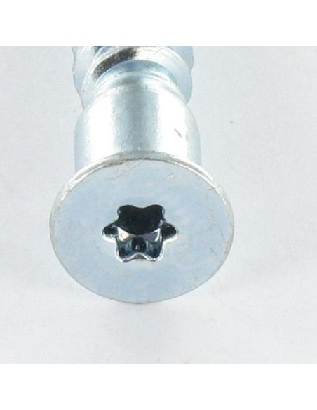 Parafuso autorroscante confirmat cabeça fresada TORX 7X50 SS dentado Aço zinco branco TORX T20