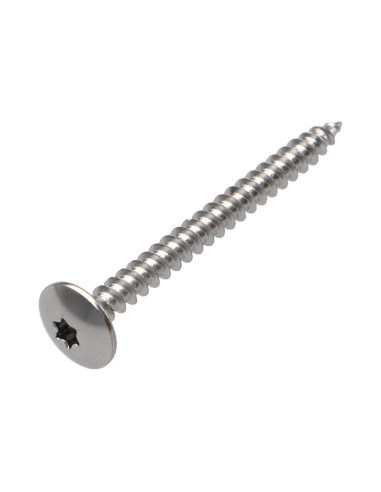 PARAFUSO dobradiça 4,5X50 rosca total TORX T20 Aço cromado