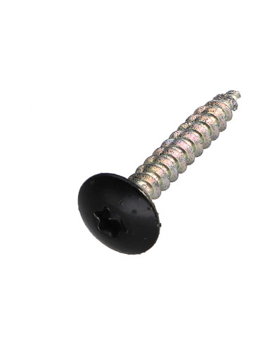 PARAFUSO dobradiça 4X30 roscado sobre 20 TORX T20 Aço zinco branco RAL9005 preto escuro 30%B