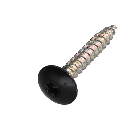 PARAFUSO dobradiça 4X30 roscado sobre 20 TORX T20 Aço zinco branco RAL9005 preto escuro 30%B