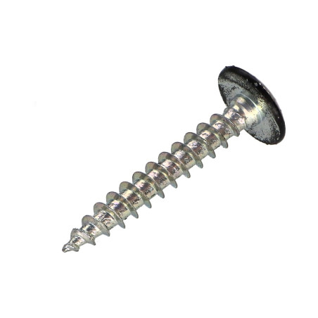 PARAFUSO dobradiça 4X30 roscado sobre 20 TORX T20 Aço zinco branco RAL9005 preto escuro 30%B