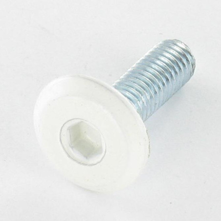 Parafuso de metais liso chave de 4 M6X20 Aço zinco branco cabeça RAL9010 branco puro