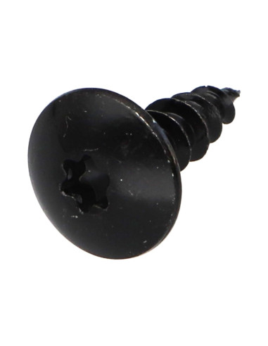 PARAFUSO dobradiça 5X25 rosca total TORX T20 Aço zinco preto