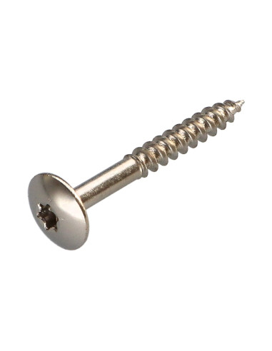 PARAFUSO dobradiça 4X30 roscado sobre 20 TORX T20 Aço niquelado