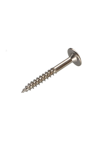 PARAFUSO dobradiça 4X30 roscado sobre 20 TORX T20 Aço niquelado