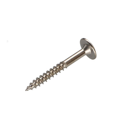 PARAFUSO dobradiça 4X30 roscado sobre 20 TORX T20 Aço niquelado