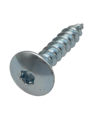 PARAFUSO dobradiça 6X20 rosca total TORX T30 Aço zinco branco