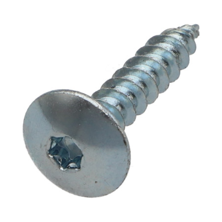 PARAFUSO dobradiça 6X20 rosca total TORX T30 Aço zinco branco