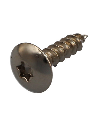 PARAFUSO dobradiça 6X25 rosca total TORX T30 Aço niquelado