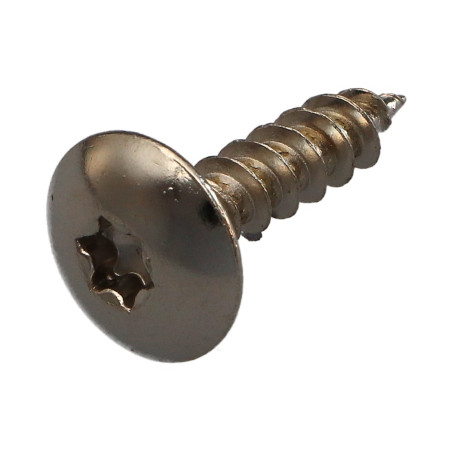 PARAFUSO dobradiça 6X25 rosca total TORX T30 Aço niquelado