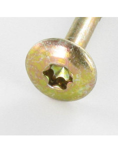 PARAFUSO dobradiça 6X60 roscado sobre 43 TORX T30 diâmetro da cabeça 14 Dicromato 2
