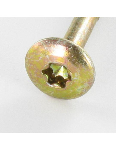 PARAFUSO dobradiça 6X60 roscado sobre 43 TORX T30 diâmetro da cabeça 14 Dicromato