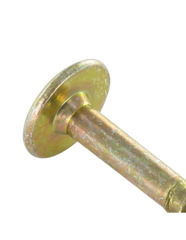 PARAFUSO dobradiça 6X60 roscado sobre 43 TORX T30 diâmetro da cabeça 14 Dicromato