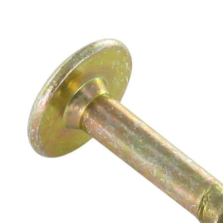 PARAFUSO dobradiça 6X60 roscado sobre 43 TORX T30 diâmetro da cabeça 14 Dicromato