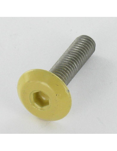 Parafuso de metais liso chave de 4 M6X25 Aço zinco branco cabeça RAL1002