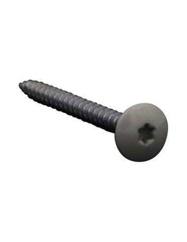PARAFUSO dobradiça 4,5X50 rosca total TORX T20 Aço zinco branco LAQ RAL7044