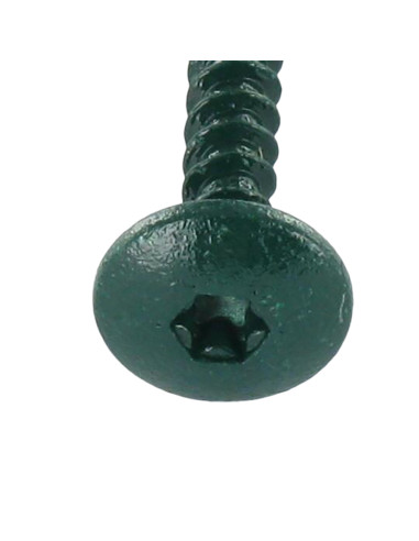 PARAFUSO dobradiça 4,5X50 rosca total TORX T20 Aço zinco branco LAQ RAL6021 verde pálido
