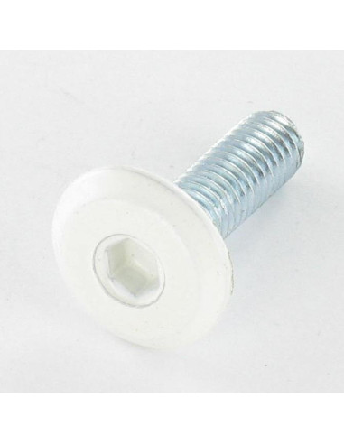 Parafuso de metais liso chave de 4 M6X25 Aço zinco branco cabeça RAL9010 branco puro