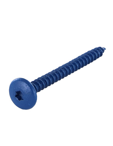 PARAFUSO dobradiça 4,5X50 rosca total TORX T20 Aço zinco branco LAQ RAL5010