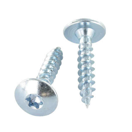 PARAFUSO dobradiça 4,5X50 rosca total TORX T20 Aço zinco branco LAQ RAL1019