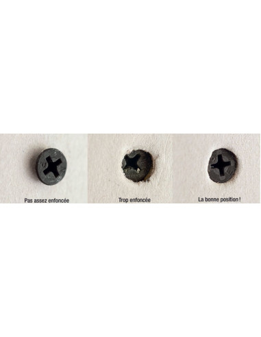 Parafusos para placas de gesso PARAFUSO TTPC Phillips 2 3,5X55 Aço fosfatizado