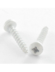 Parafuso de madeira aglomerado Aço inoxidável A2 cabeça redonda Pozi 3X20 microparafusos RAL9016 branco de