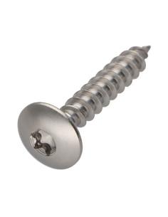 PARAFUSO dobradiça 6X45 roscado sobre 38 TORX T30 Aço inoxidável A2