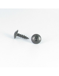 PARAFUSO dobradiça 6X40 roscado sobre 38 TORX T30 Aço inoxidável A2 Preto