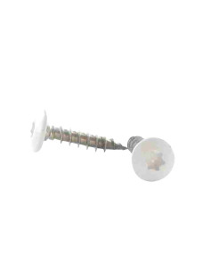 PARAFUSO dobradiça 6X40 roscado sobre 38 TORX T30 Aço inoxidável A2 LQBLC RAL9016 branco de sinalização