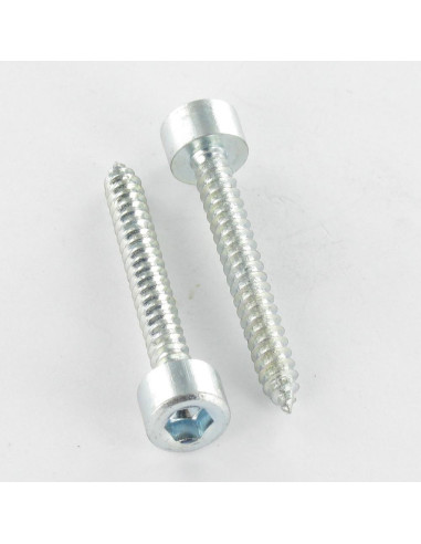 Parafuso de chapa Parafuso cabeça oca sextavada chave de 5 5,5 x 25 Aço zinco branco
