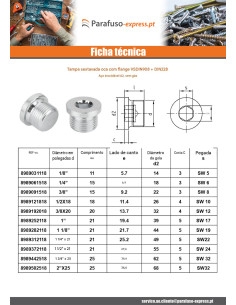 Tampa hexagonal oco com colar chave de 5 Aço inoxidável A2 5x10 (1/8") X11 GÁS 2