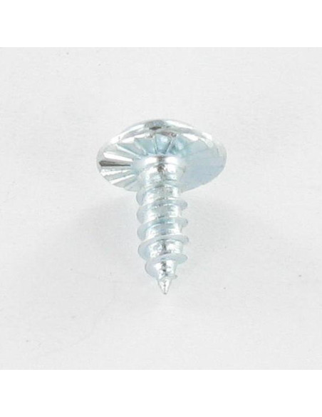 Parafuso de chapa cabeça de cogumelo dentado T20+TETON 3,5 x 9,5 Aço zinco branco